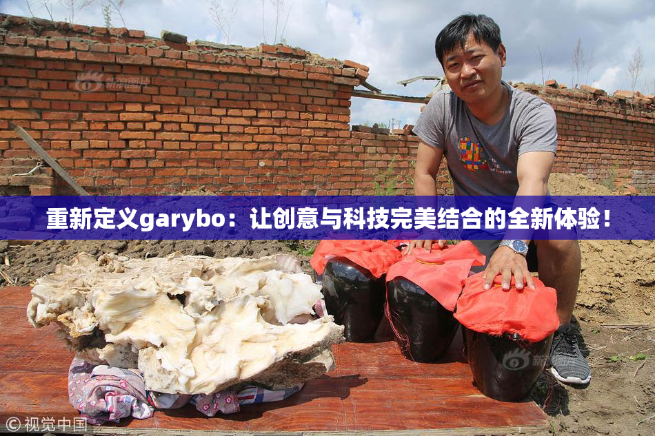 重新定义garybo：让创意与科技完美结合的全新体验！