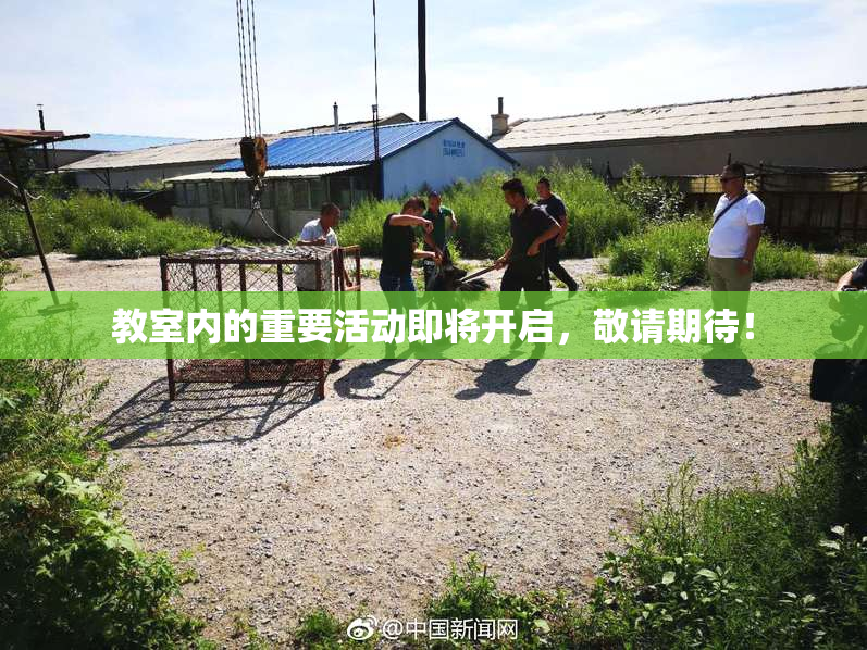 教室内的重要活动即将开启，敬请期待！