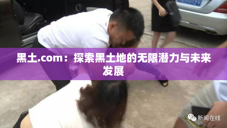 黑土.com：探索黑土地的无限潜力与未来发展