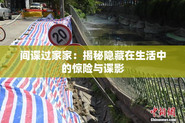 间谍过家家：揭秘隐藏在生活中的惊险与谍影