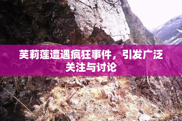 芙莉莲遭遇疯狂事件，引发广泛关注与讨论