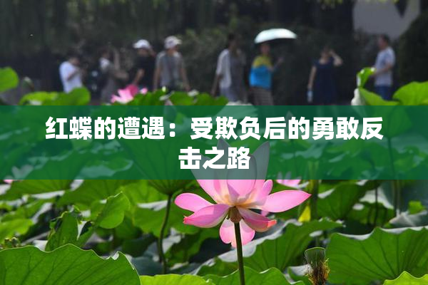 红蝶的遭遇：受欺负后的勇敢反击之路