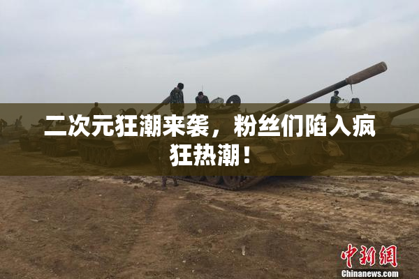 二次元狂潮来袭，粉丝们陷入疯狂热潮！