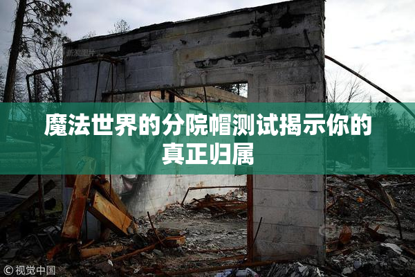 魔法世界的分院帽测试揭示你的真正归属