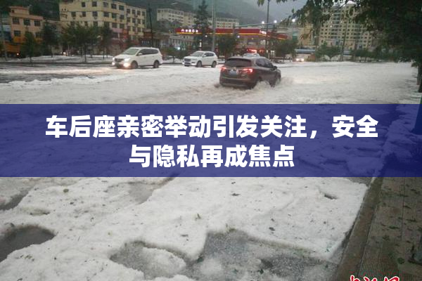 车后座亲密举动引发关注，安全与隐私再成焦点