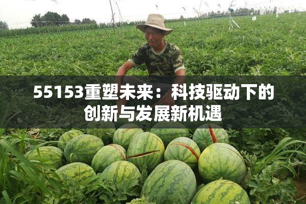 55153重塑未来：科技驱动下的创新与发展新机遇