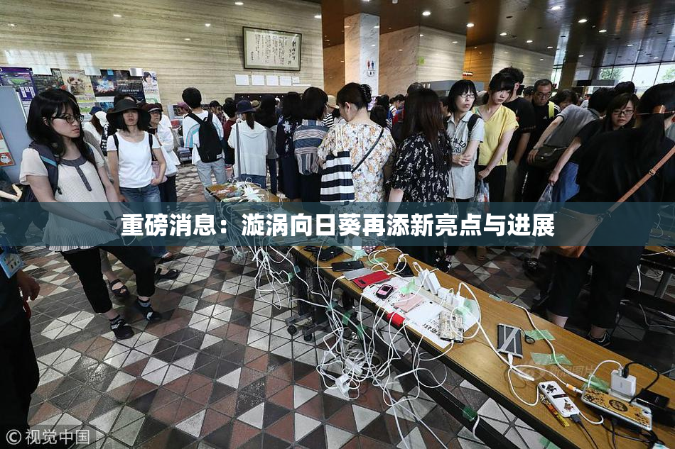 重磅消息：漩涡向日葵再添新亮点与进展