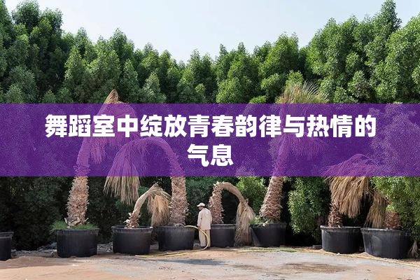 舞蹈室中绽放青春韵律与热情的气息