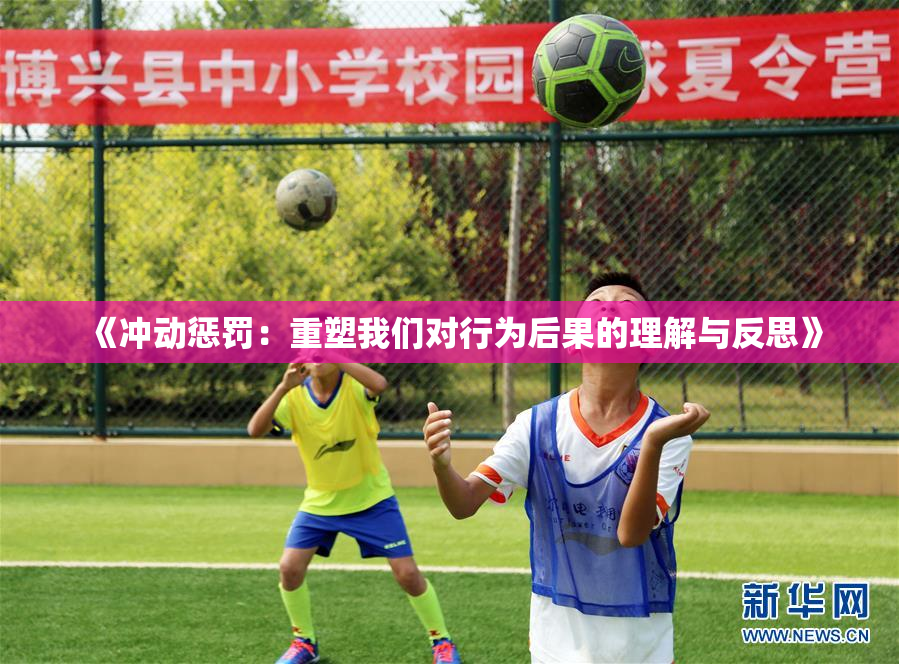 《冲动惩罚：重塑我们对行为后果的理解与反思》