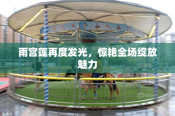 雨宫莲再度发光，惊艳全场绽放魅力