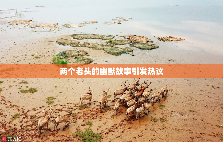 两个老头的幽默故事引发热议