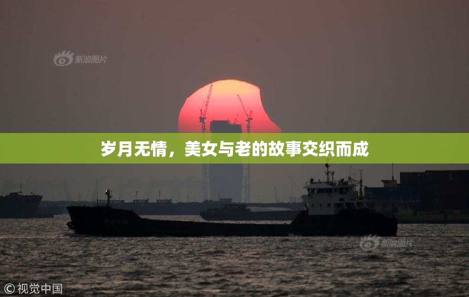 岁月无情，美女与老的故事交织而成