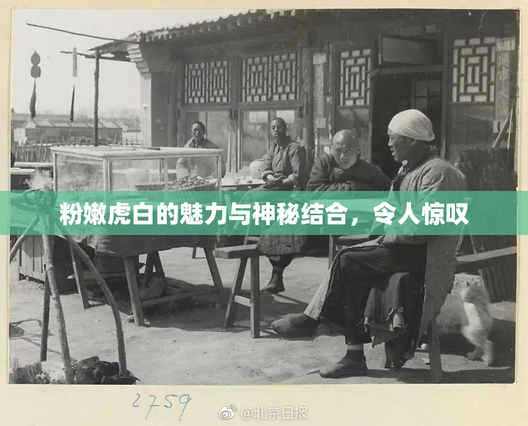 粉嫩虎白的魅力与神秘结合，令人惊叹