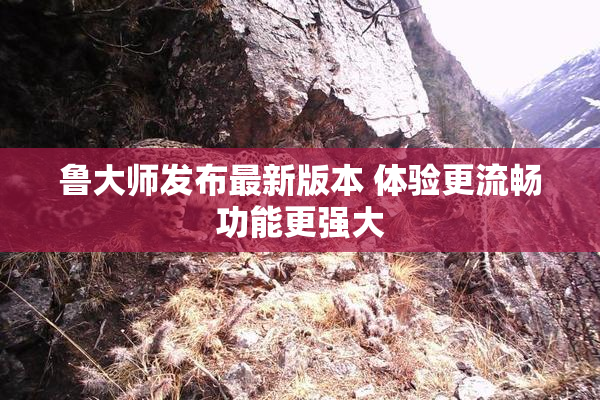鲁大师发布最新版本 体验更流畅功能更强大