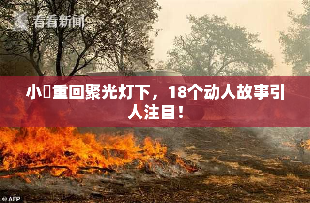 小泬重回聚光灯下，18个动人故事引人注目！