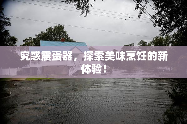 究惑震蛋器，探索美味烹饪的新体验！