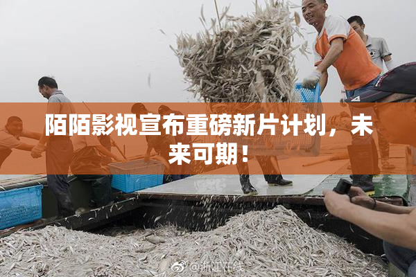 陌陌影视宣布重磅新片计划，未来可期！