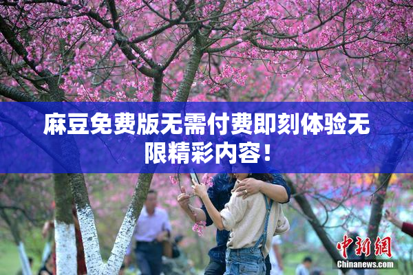 麻豆免费版无需付费即刻体验无限精彩内容！