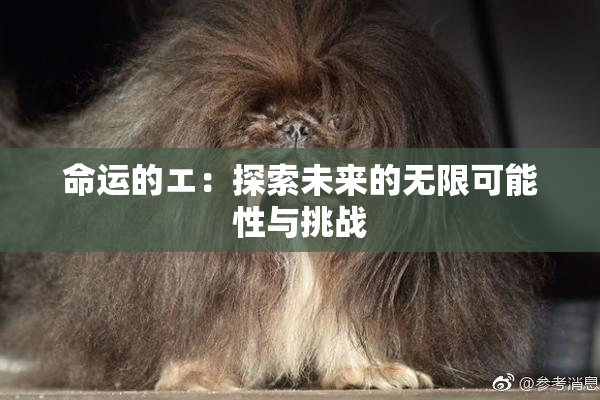 命运的エ：探索未来的无限可能性与挑战