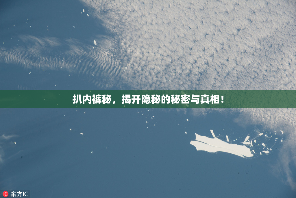 扒内裤秘，揭开隐秘的秘密与真相！