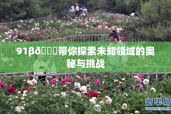 91β🔞带你探索未知领域的奥秘与挑战