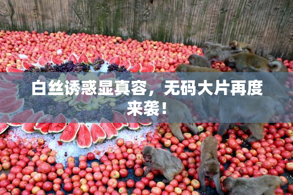 白丝诱惑显真容，无码大片再度来袭！