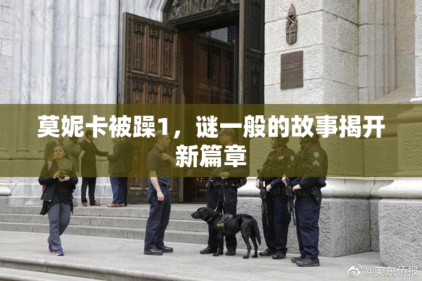 莫妮卡被躁1，谜一般的故事揭开新篇章