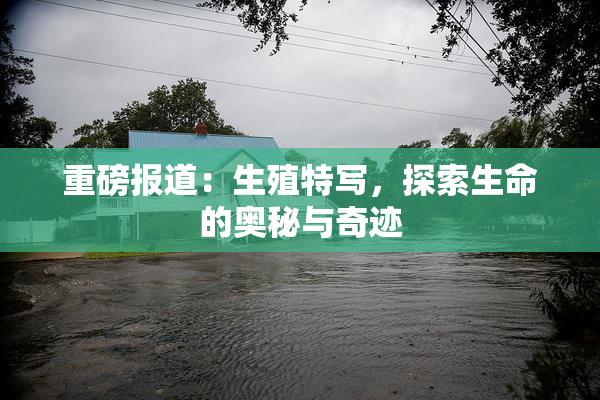 重磅报道：生殖特写，探索生命的奥秘与奇迹