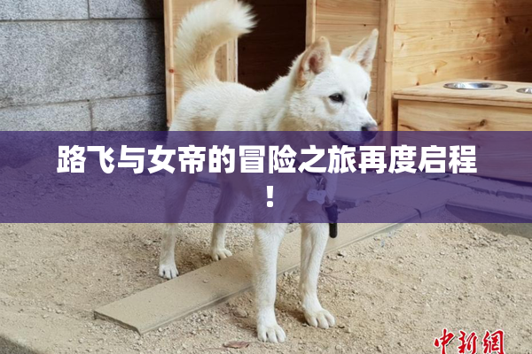 路飞与女帝的冒险之旅再度启程！