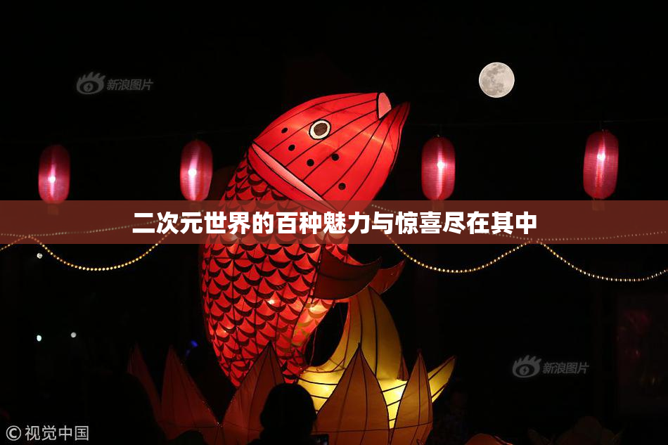 二次元世界的百种魅力与惊喜尽在其中