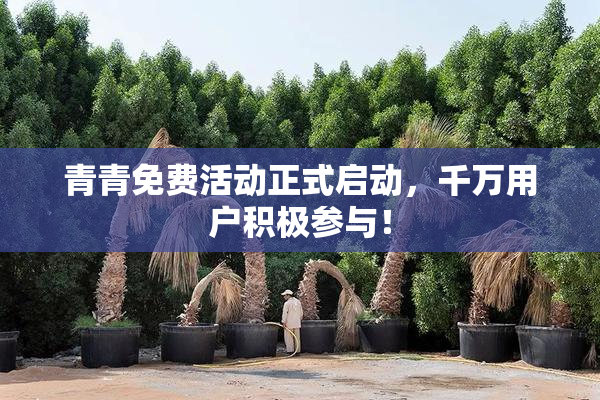 青青免费活动正式启动，千万用户积极参与！