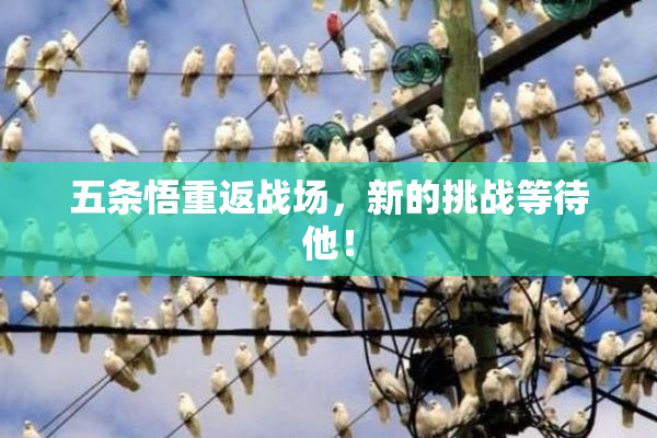 五条悟重返战场，新的挑战等待他！