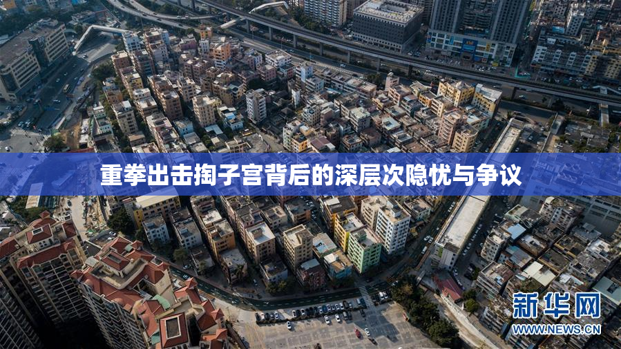 重拳出击掏子宫背后的深层次隐忧与争议