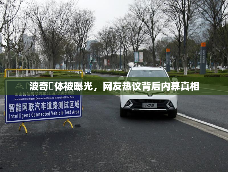 波奇祼体被曝光，网友热议背后内幕真相