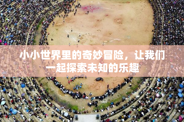 小小世界里的奇妙冒险，让我们一起探索未知的乐趣