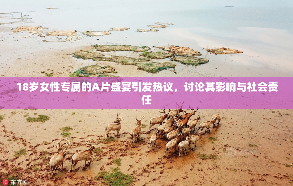 18岁女性专属的A片盛宴引发热议，讨论其影响与社会责任