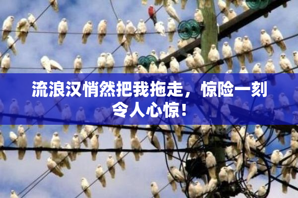 流浪汉悄然把我拖走，惊险一刻令人心惊！