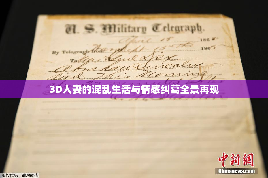 3D人妻的混乱生活与情感纠葛全景再现