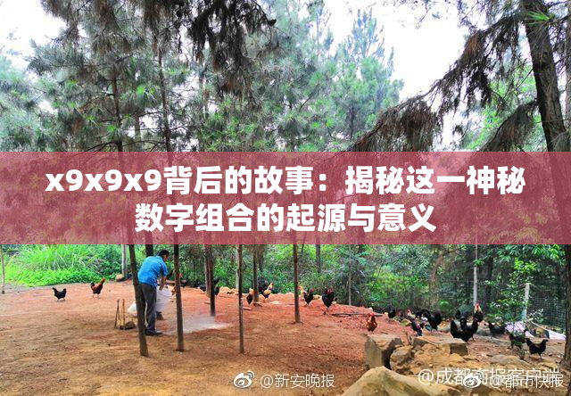 x9x9x9背后的故事：揭秘这一神秘数字组合的起源与意义