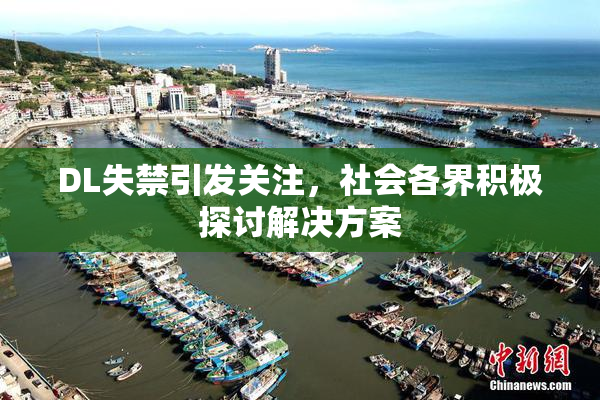 DL失禁引发关注，社会各界积极探讨解决方案
