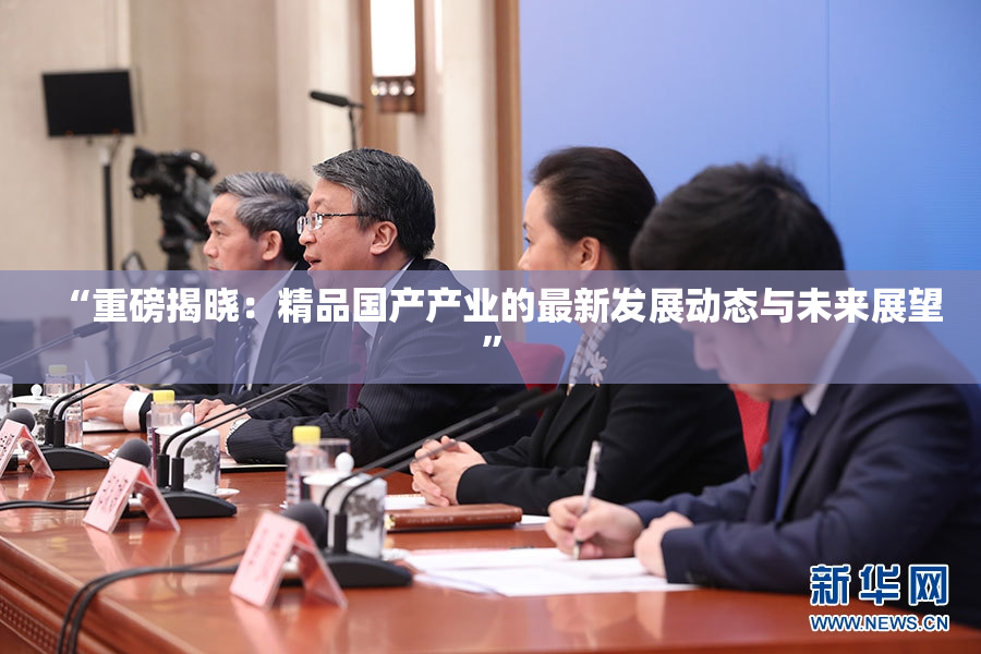 “重磅揭晓：精品国产产业的最新发展动态与未来展望”