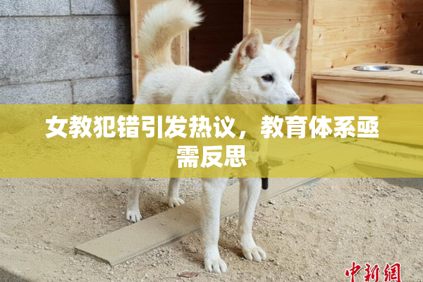女教犯错引发热议，教育体系亟需反思