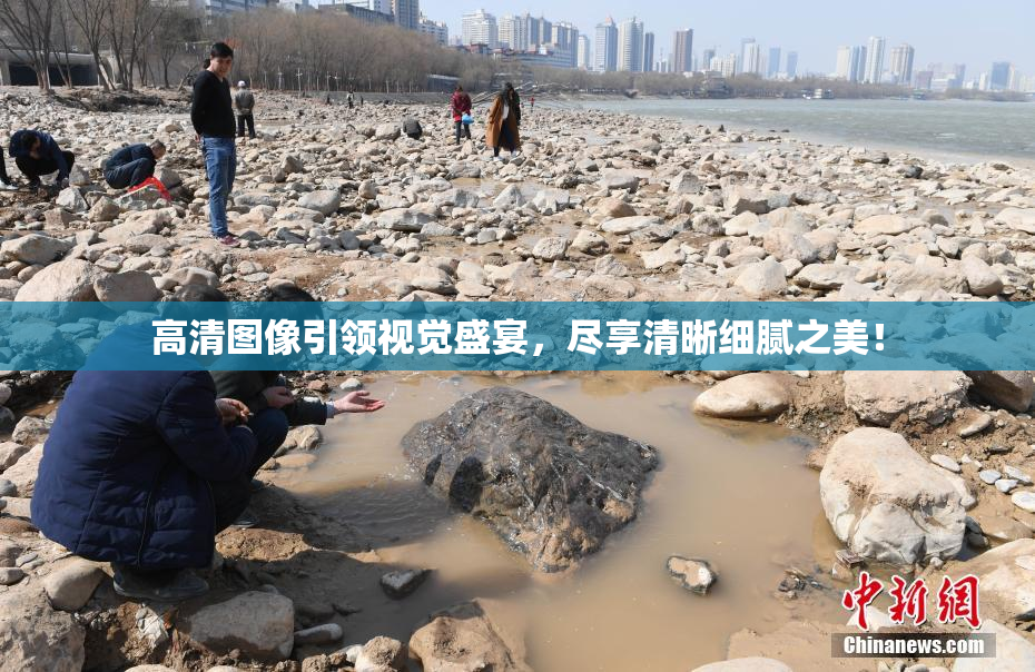 高清图像引领视觉盛宴，尽享清晰细腻之美！