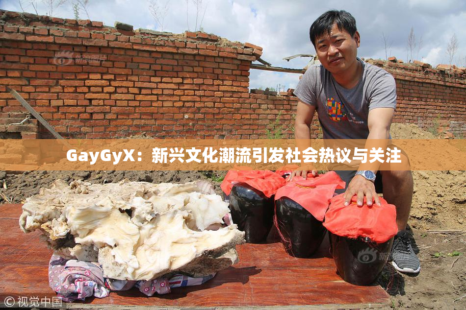 GayGyX：新兴文化潮流引发社会热议与关注