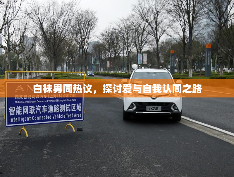 白袜男同热议，探讨爱与自我认同之路