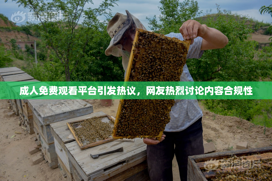 成人免费观看平台引发热议，网友热烈讨论内容合规性