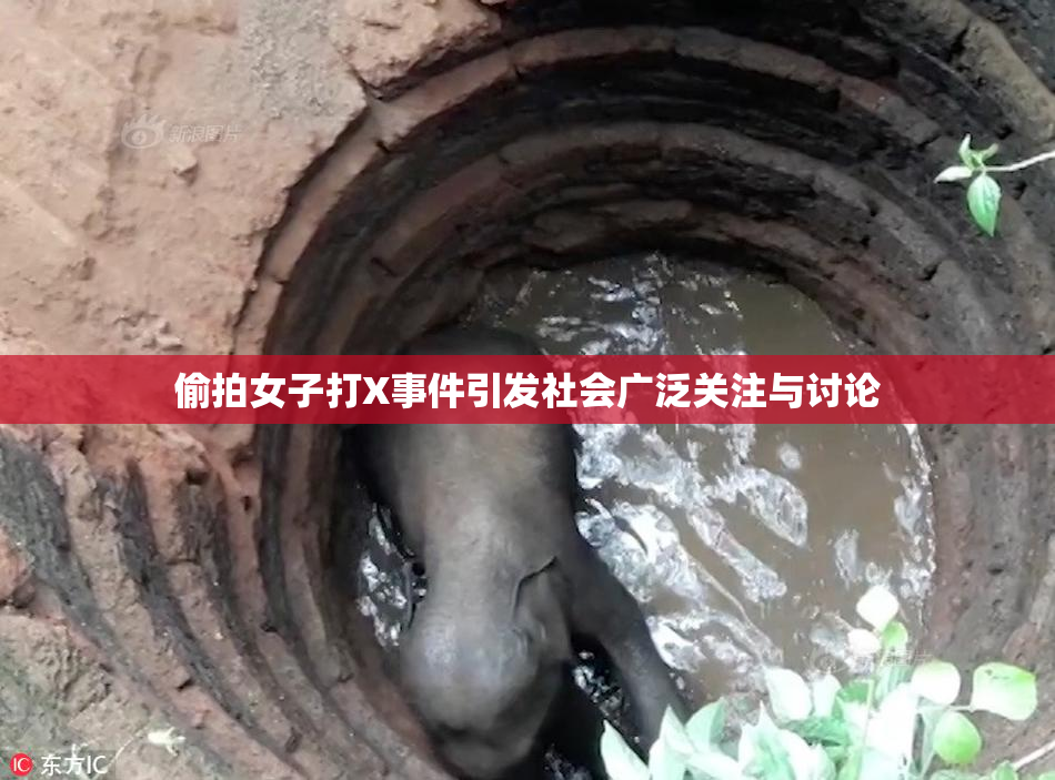 偷拍女子打X事件引发社会广泛关注与讨论