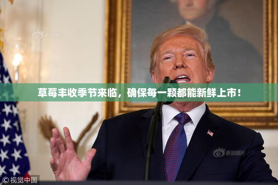 草莓丰收季节来临，确保每一颗都能新鲜上市！