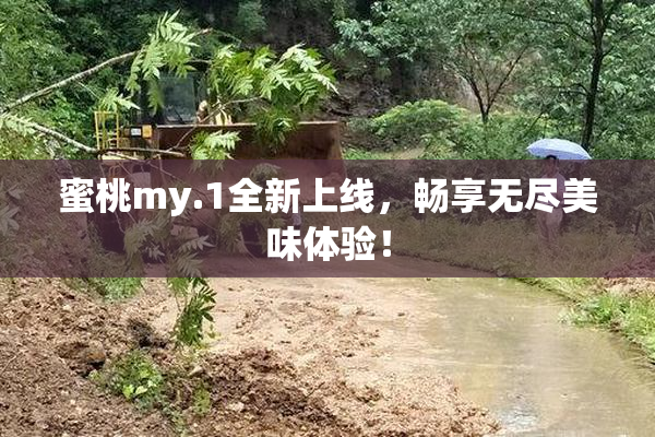 蜜桃my.1全新上线，畅享无尽美味体验！