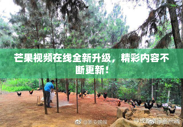 芒果视频在线全新升级，精彩内容不断更新！